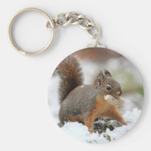 Écureuil mignon dans la neige avec l'arachide porte-clef