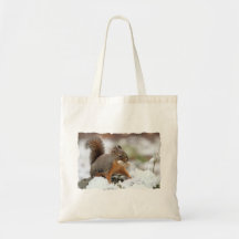 Écureuil mignon dans la neige avec l'arachide sac