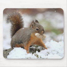 Écureuil mignon dans la neige avec l'arachide tapis de souris