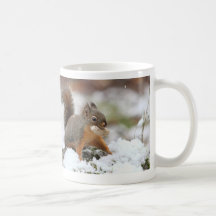 Écureuil mignon dans la neige avec l'arachide tasse