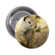 Écureuil moulu badge avec épingle