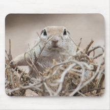 écureuil moulu Rond-coupé la queue Mousepad Tapis De Souris