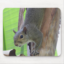 Écureuil Mousepad tapis de souris