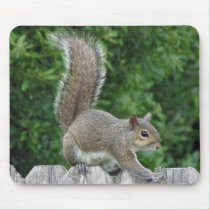 Écureuil Mousepad tapis de souris
