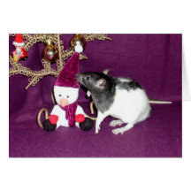 Edison et le bonhomme de neige cartes