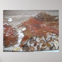Effet calme de lune posters