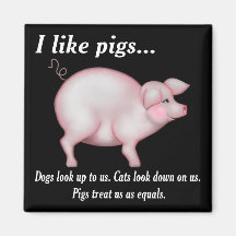 Égalité de porc aimant