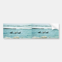 Eiders à lunettes adhésif pour voiture