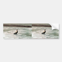 Eiders à lunettes adhésif pour voiture