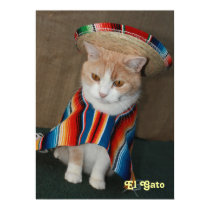 EL Gato posters
