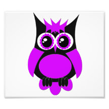 Élargissement punk pourpre de photo de hibou