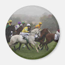 Électo-aimant de champ de cheval de course