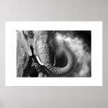 Éléphant #1 posters