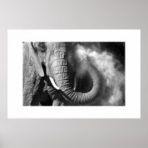 Éléphant #1 posters