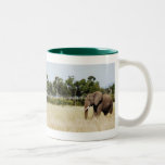 Éléphant africain dans le masai tasse de Mara, Ken