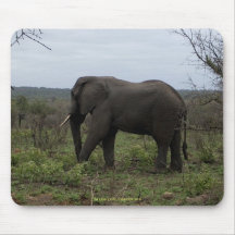 Éléphant africain Mousepad Tapis De Souris