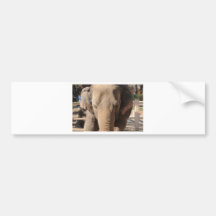 Éléphant asiatique adhésifs pour voiture