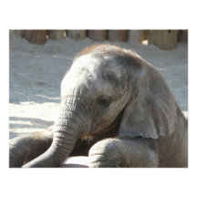 éléphant de bébé cartons d'invitation