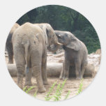 Éléphant derrière autocollant