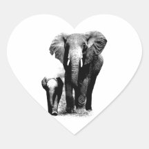 Éléphants Autocollant