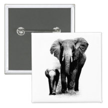 Éléphants Badge Avec Épingle