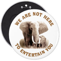 Elephats méritent le respect badges avec agrafe