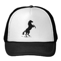 Élevage du cheval casquette