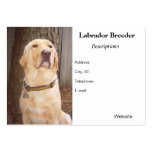 Éleveur de labrador retriever modèle de carte de visite