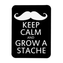 Élevez un Stache Magnets Souples