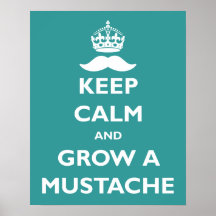Élevez une moustache posters