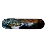 Elle Skateboards Cutomisables