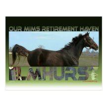Elmhurst - gagnant de sprint de tasse de "97 éleve carte postale