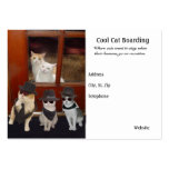 Embarquement frais de chat carte de visite