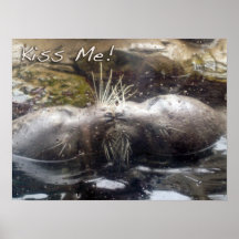 Embrassez-moi ! Affiche