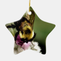 Empoté Décoration De Noël