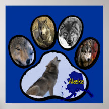 Empreinte de patte d'Alaska de loup Posters