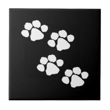 Empreintes de pattes animaux carreau