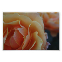 En fleur impression photographique
