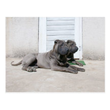 Ensemble Carte Postale