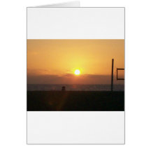 Ensemble de Sun Cartes