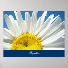Ensemble l'art imprime la fleur de marguerite blan posters