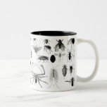 Entomologie, myriapodes et arachnides mugs à café