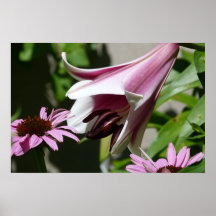 Entretiens de nature posters