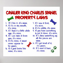 ÉPAGNEUL DE ROI CHARLES CAVALIER PL2 POSTER