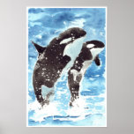Épaulards pour aquarelle affiche