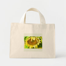 épicerie BG, fleur de Sun Sacs