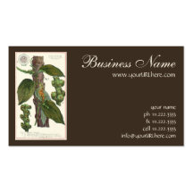 Épices vintages d'herbes de nourriture, usine de p carte de visite