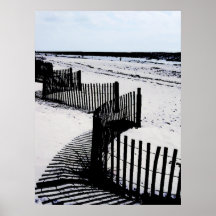Épine squelettique de barrière de plage sur la pla posters