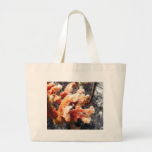 Éponge orange de mer sacs