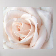 Épouser l'affiche rose, S Cyr